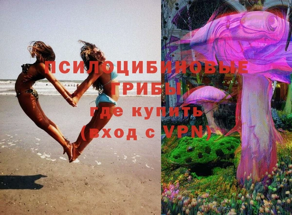 скорость mdpv Белокуриха