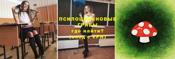 Альфа ПВП Беломорск